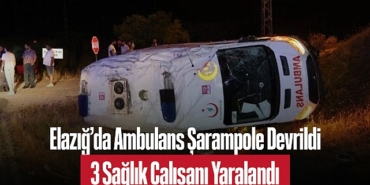 202502elazig-da-ambulans-sarampole-devrildi-3-saglik-calisani-yaralandi-3938.jpg