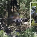 Röntgen Teknisyeni, 110 Günlük Yaşam Mücadelesini Kaybetti 32 kaza9483585787357
