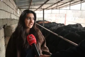 atanamayan-hemsire-koyunde-baba-meslegine-basladi