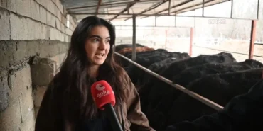 atanamayan-hemsire-koyunde-baba-meslegine-basladi